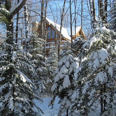 Blueberry Lake Resort Labelle Extérieur photo