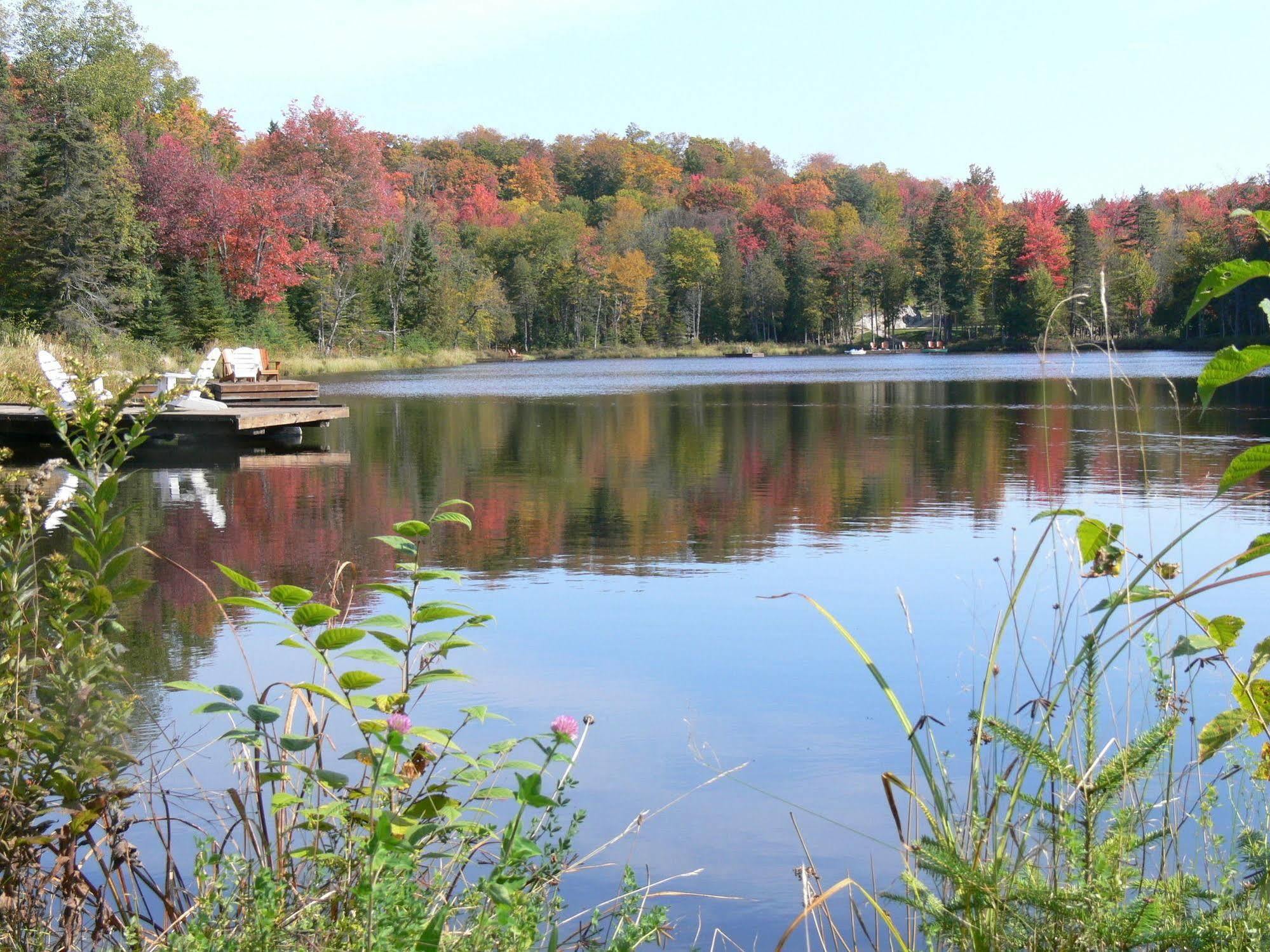 Blueberry Lake Resort Labelle Extérieur photo