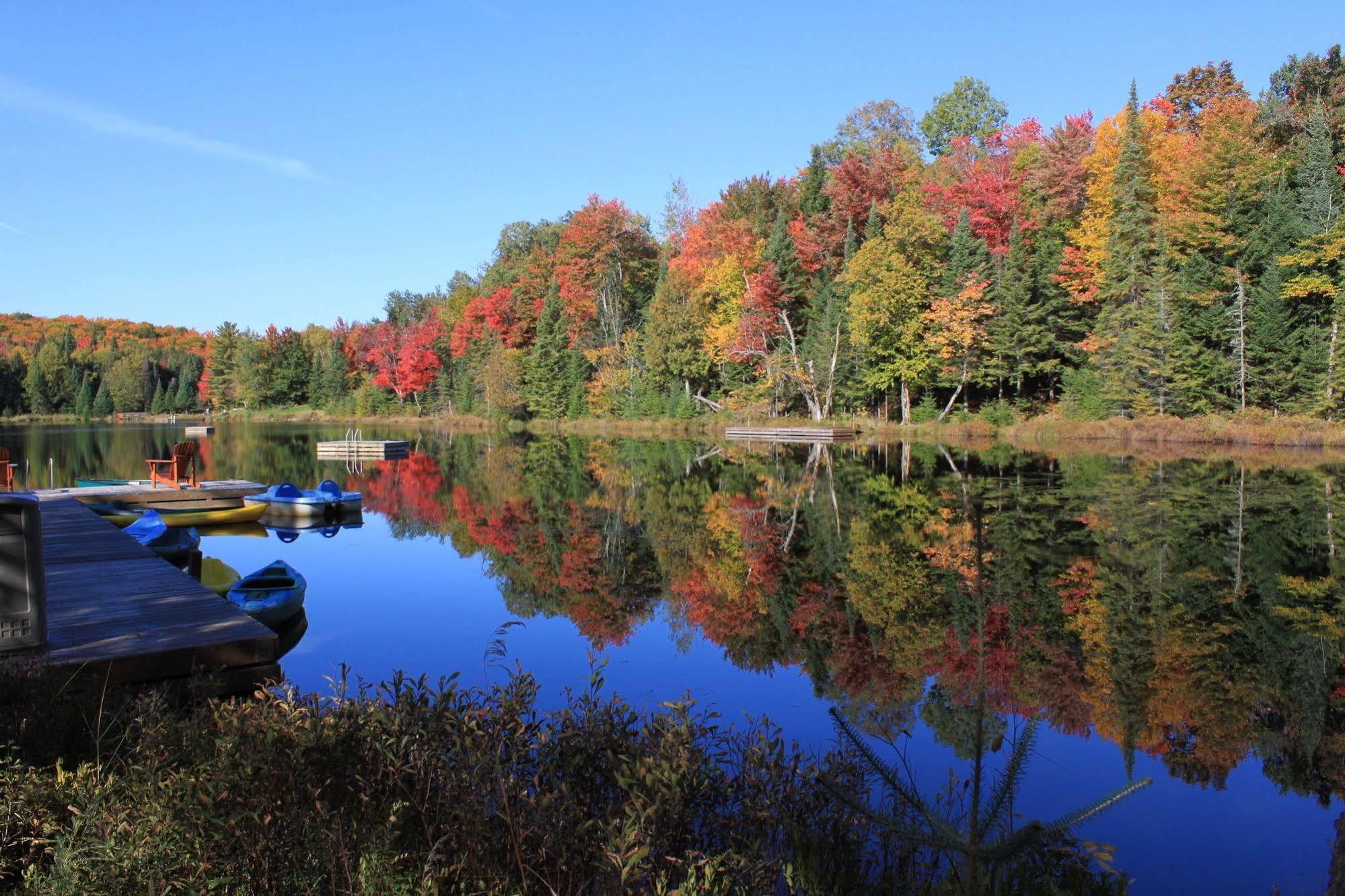 Blueberry Lake Resort Labelle Extérieur photo