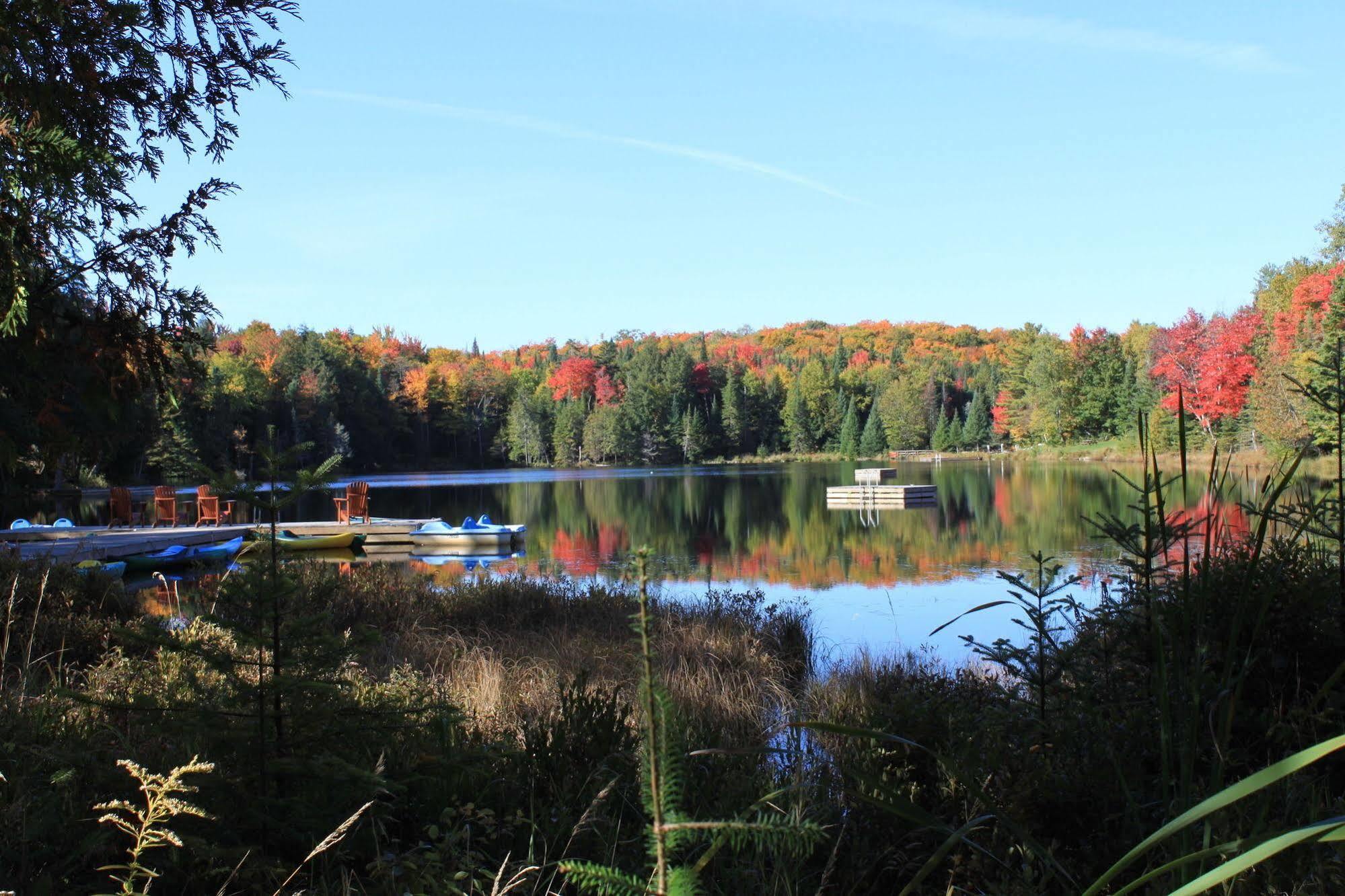 Blueberry Lake Resort Labelle Extérieur photo