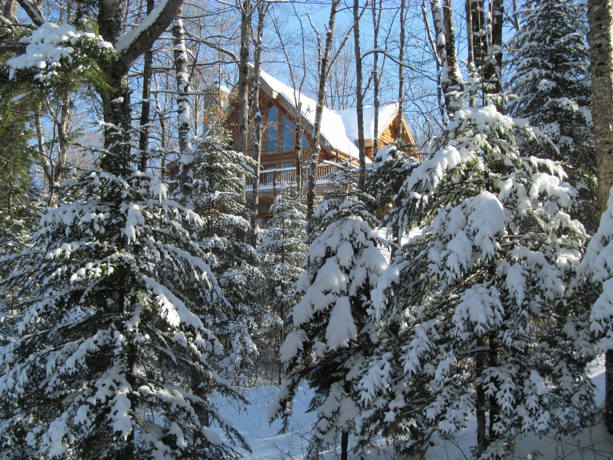 Blueberry Lake Resort Labelle Extérieur photo